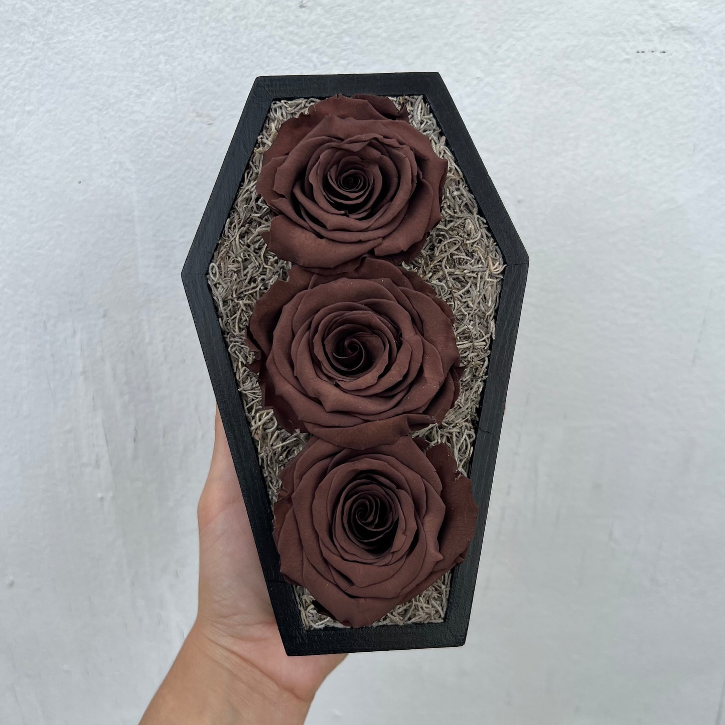 *Ready to Ship* "Cordelia" Preserved Floral Coffin